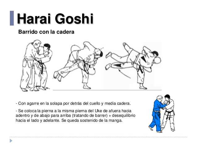 La imagen tiene un atributo ALT vacío; su nombre de archivo es judo-manual-ilustrado-34-638.jpg